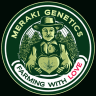 Meraki Genetics