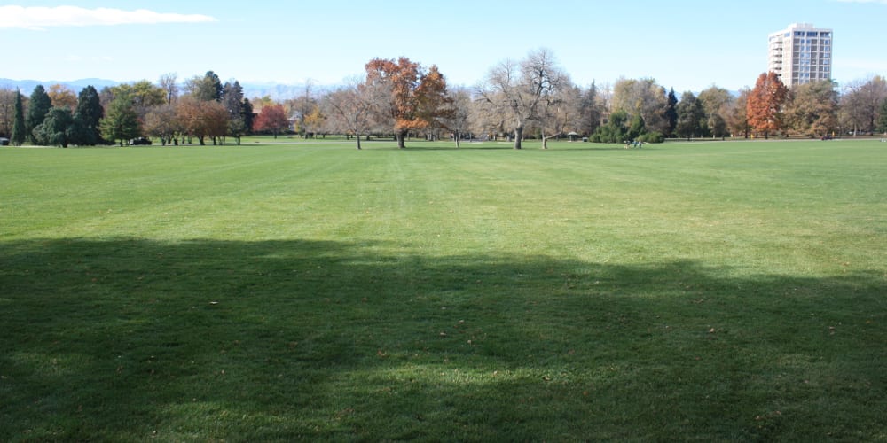 www.uncovercolorado.com
