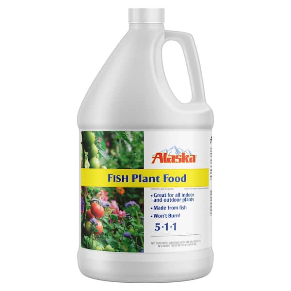 alaska-plant-food-fertilizer-100099249-64_600.jpg
